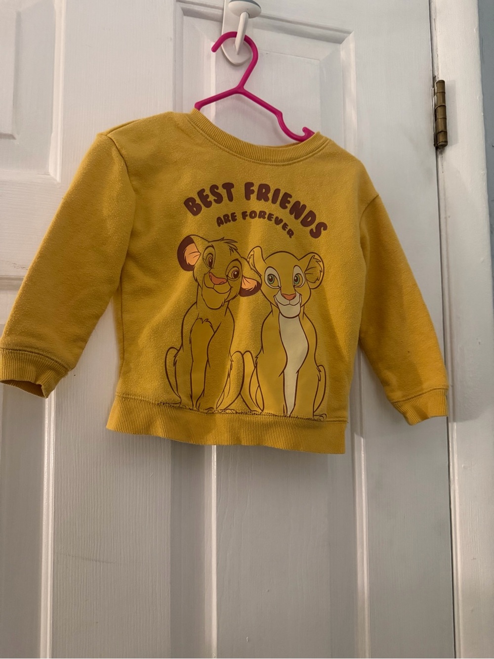 Disney Jumping Beans Lion King Simba Nala Sweatshirt 18M